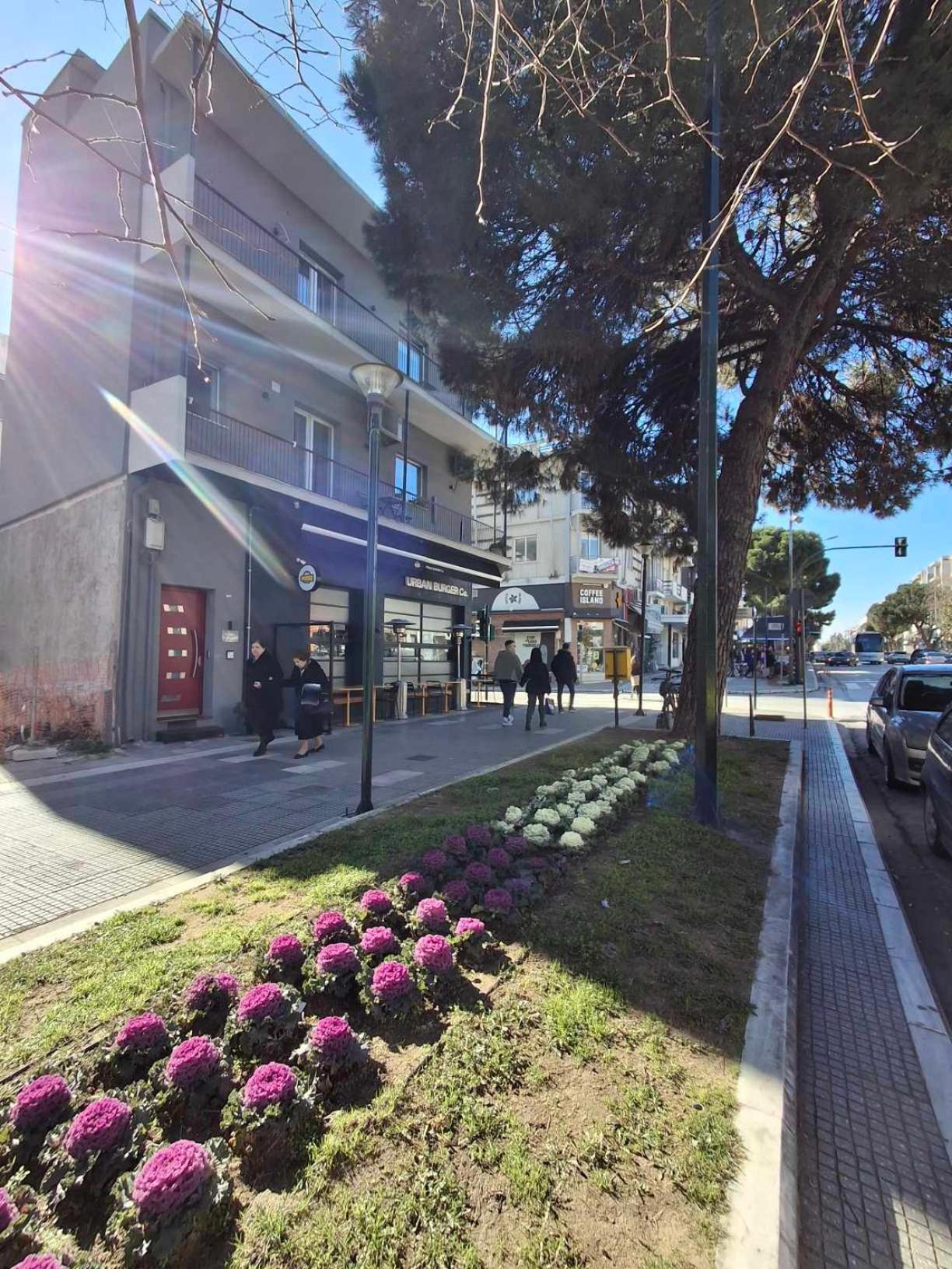 City Center Apartment 2 Αλεξανδρούπολη Εξωτερικό φωτογραφία
